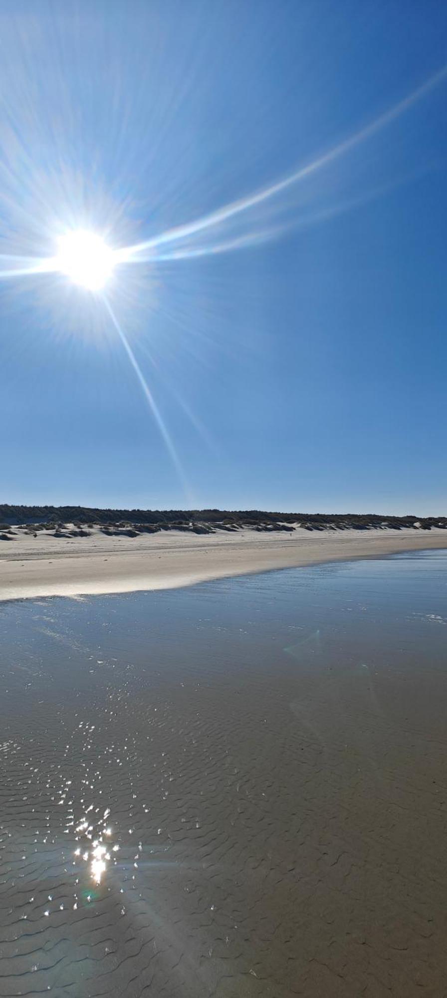 Pension Bakema Ameland ネス エクステリア 写真