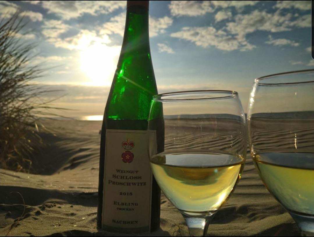 Pension Bakema Ameland ネス エクステリア 写真