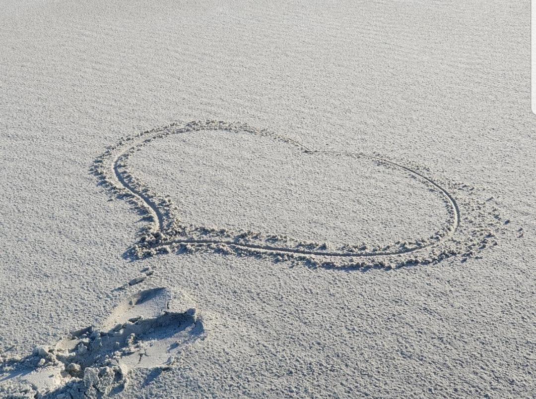 Pension Bakema Ameland ネス エクステリア 写真